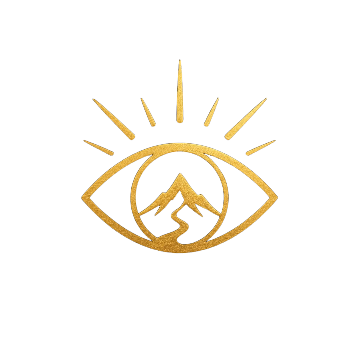 Visión